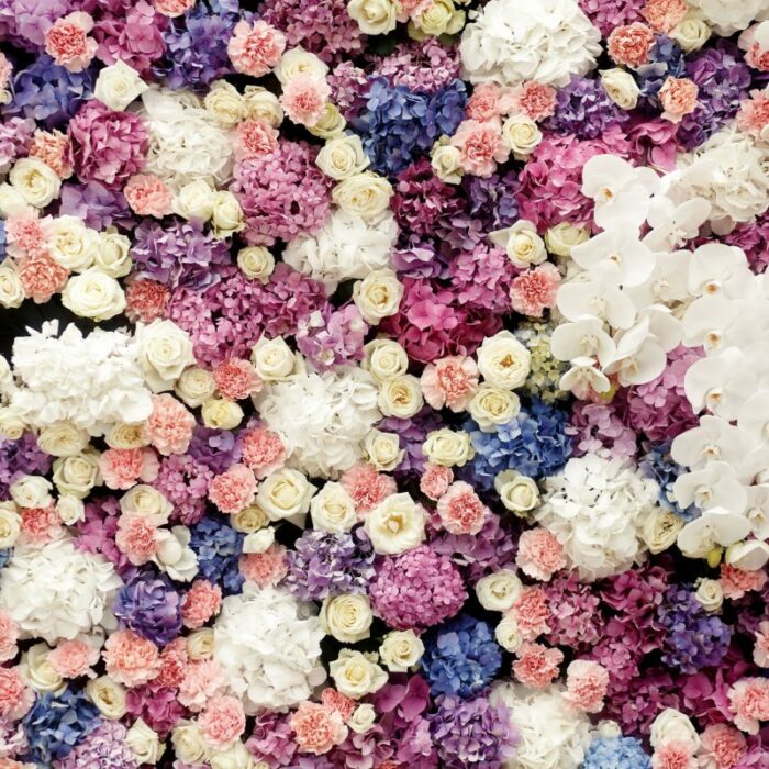 roses-qwzt710uskqafs8jshb0f4bamzjoxfsuaryuk5kthc